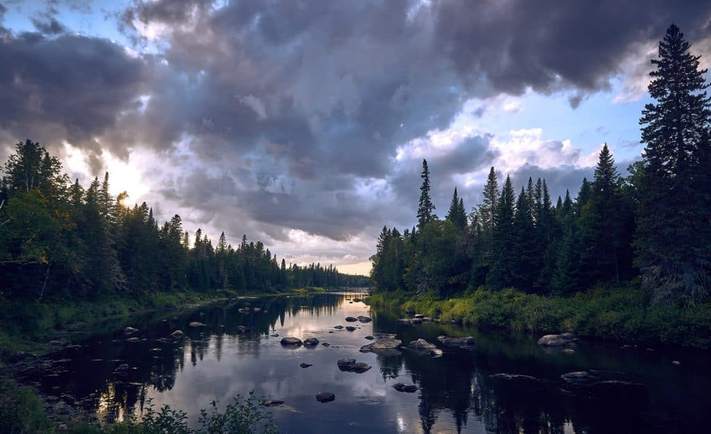 Miramichi