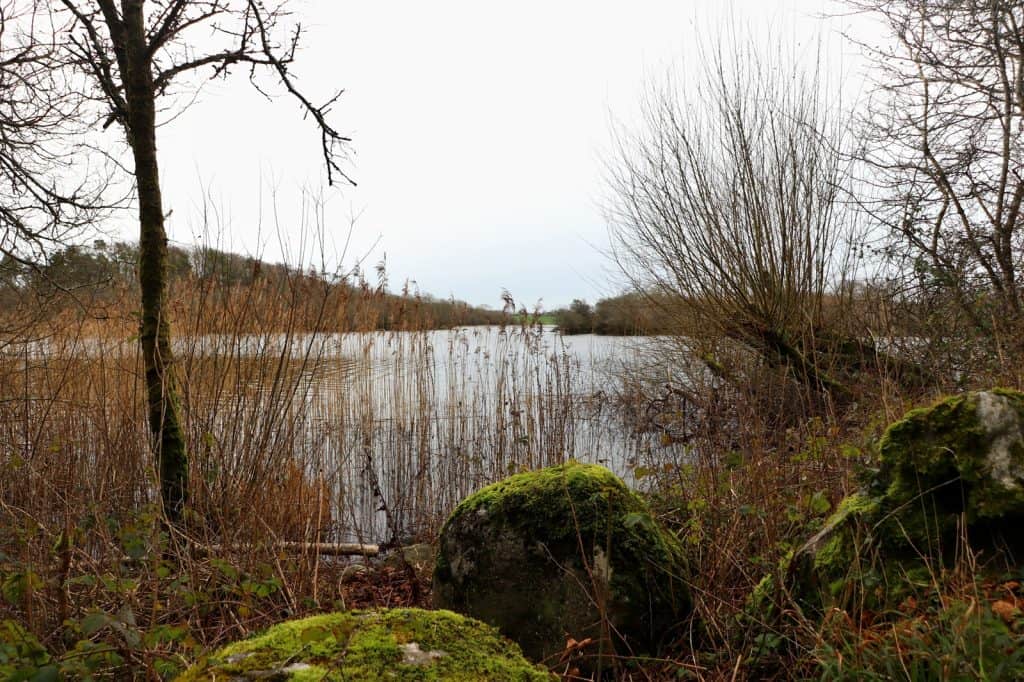 Dromore Wood Nature Reserve