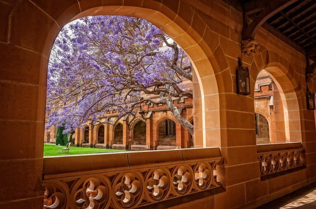 University in Australia