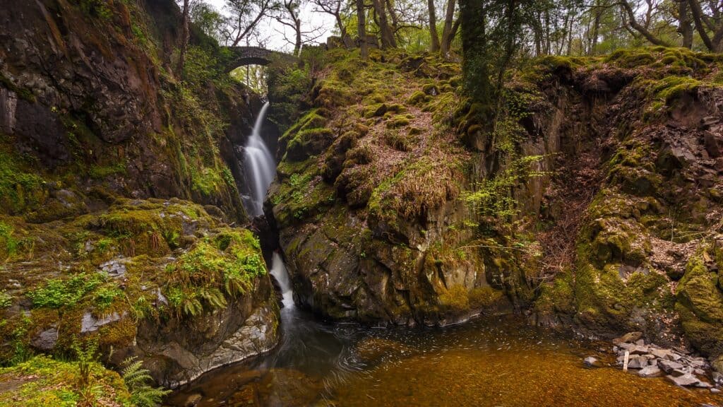 Cascada Aira Force