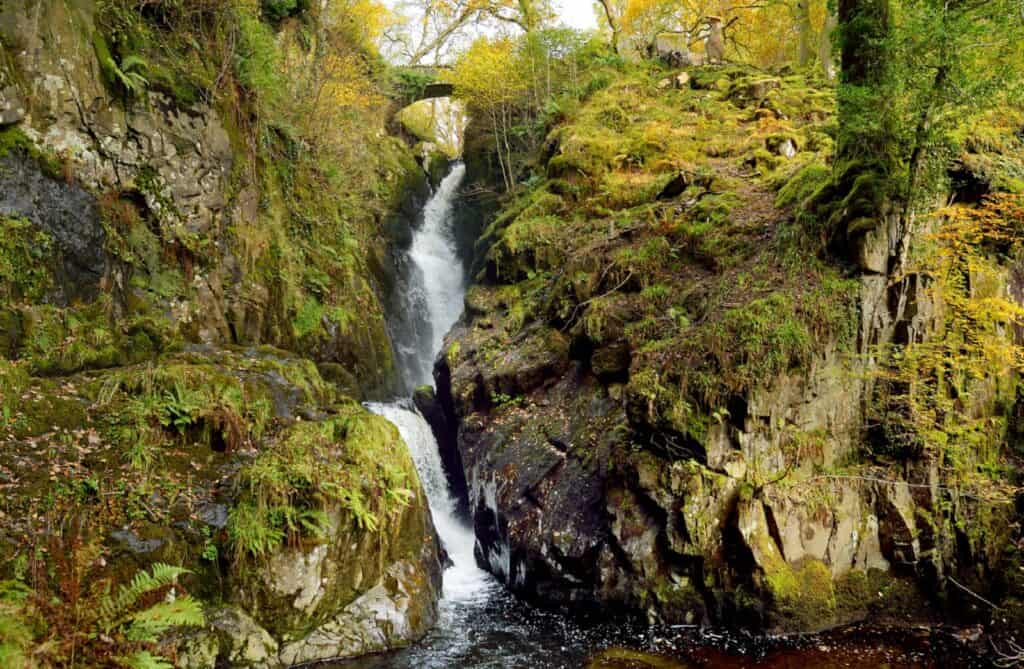 Cascada Aira Force