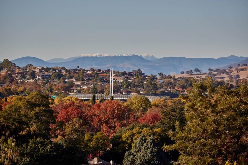 Albury