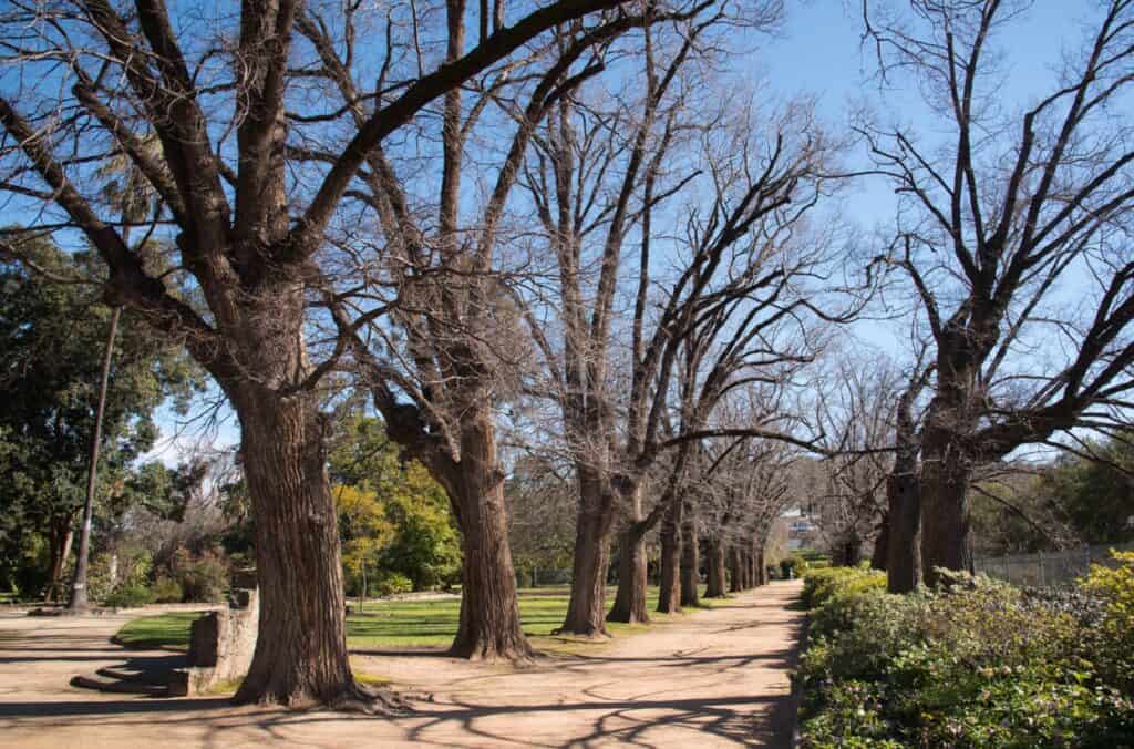 Jardín Botánico de Albury