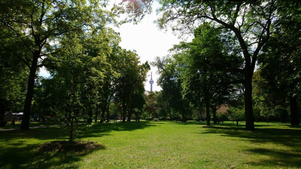 Alexandra Park