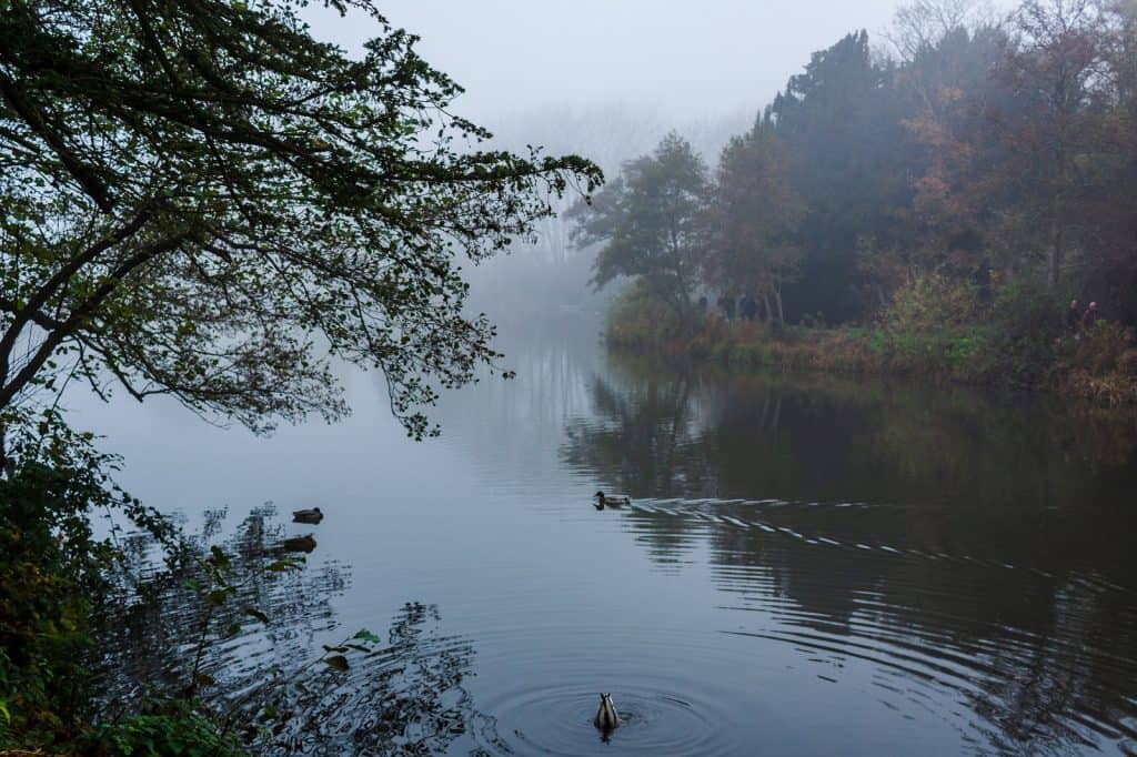 Allestree Park