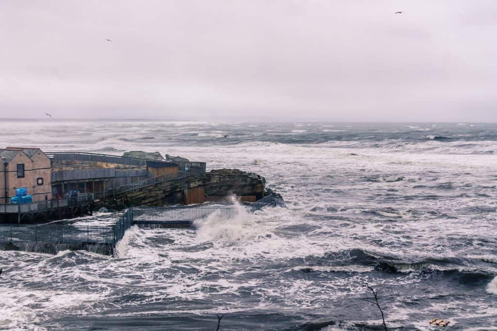 St. Andrews Aquarium