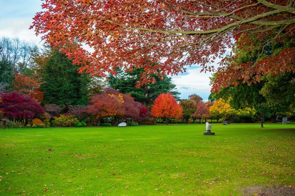 Ashburton Domain