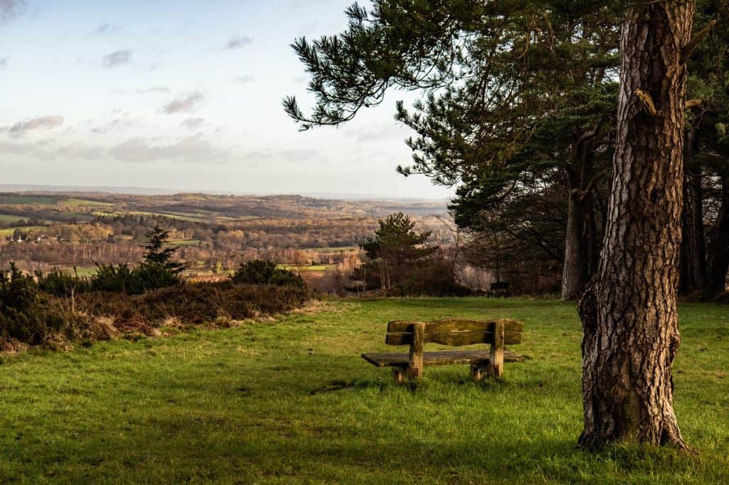 Ashdown Forest
