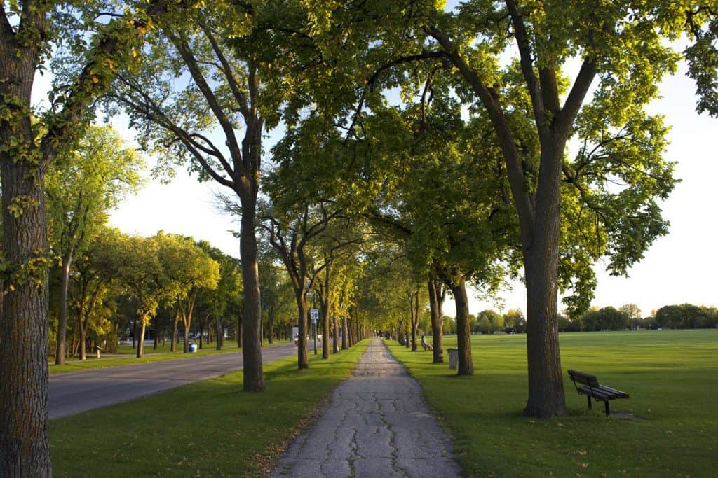 El parque Assiniboine 