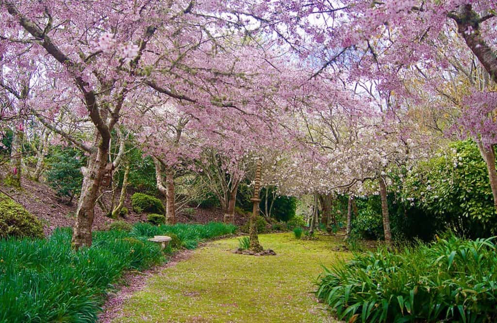 Aston Norwood Gardens