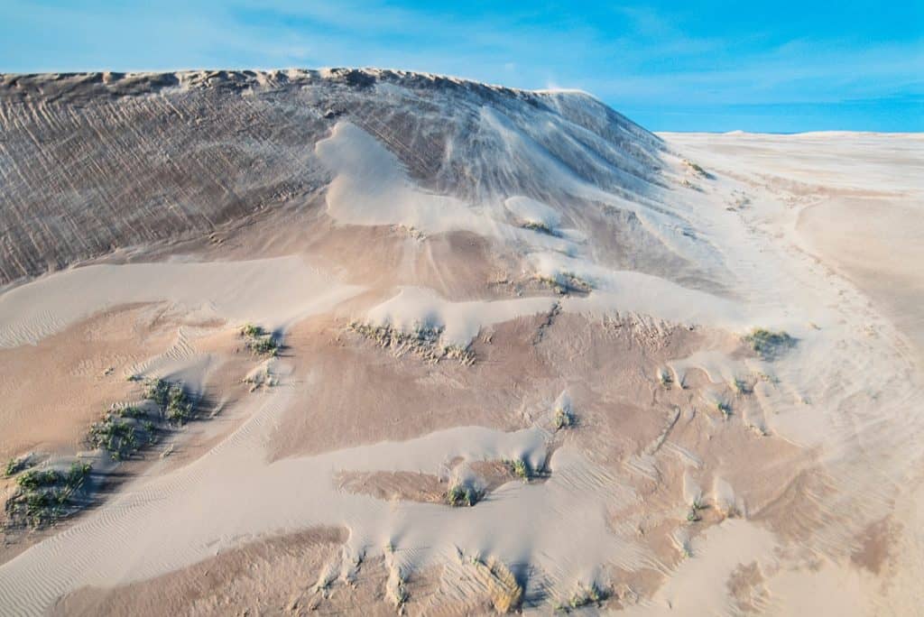 Athabasca Sand Dunes Provincial Park