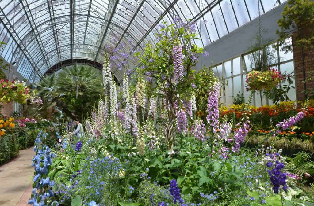 Auckland Botanic Gardens