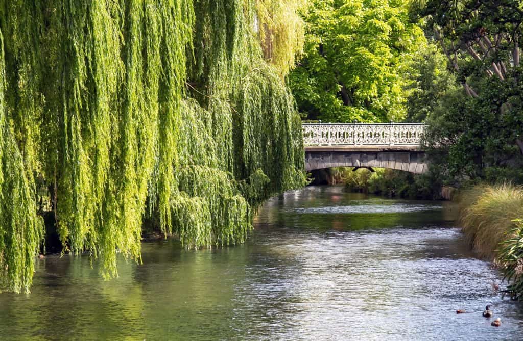 Avon River