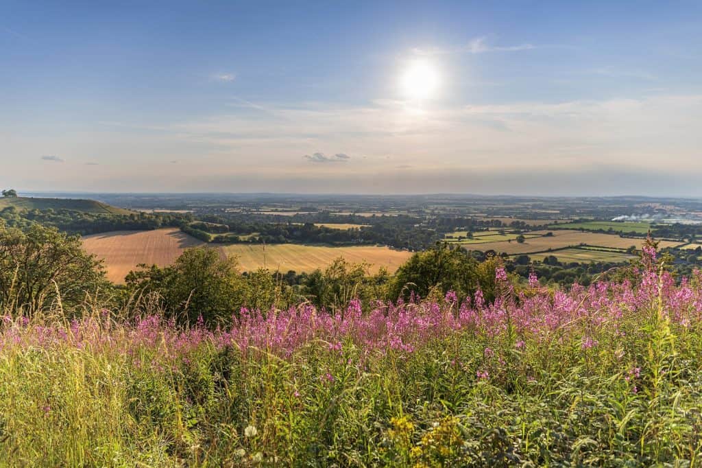 Aylesbury Vale