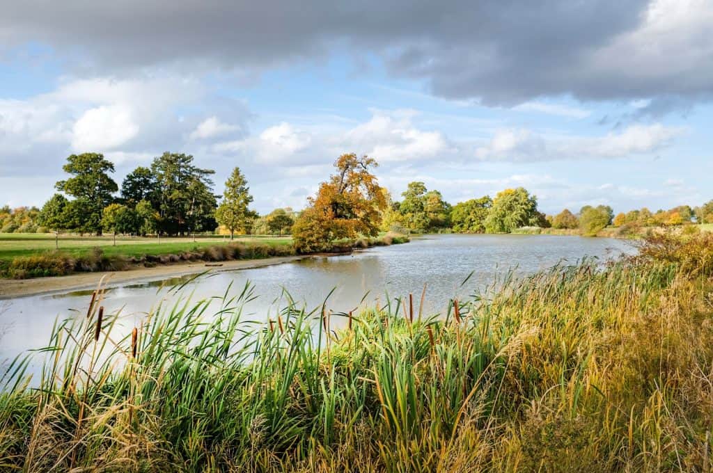 Aylesbury Vale