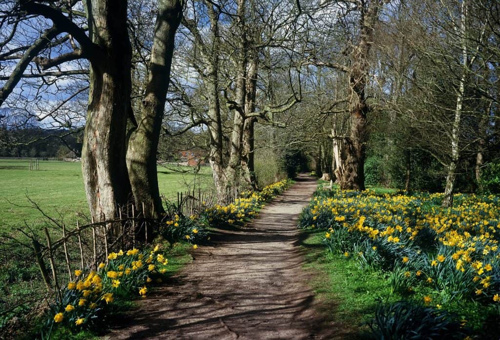 Baddesley Clinton