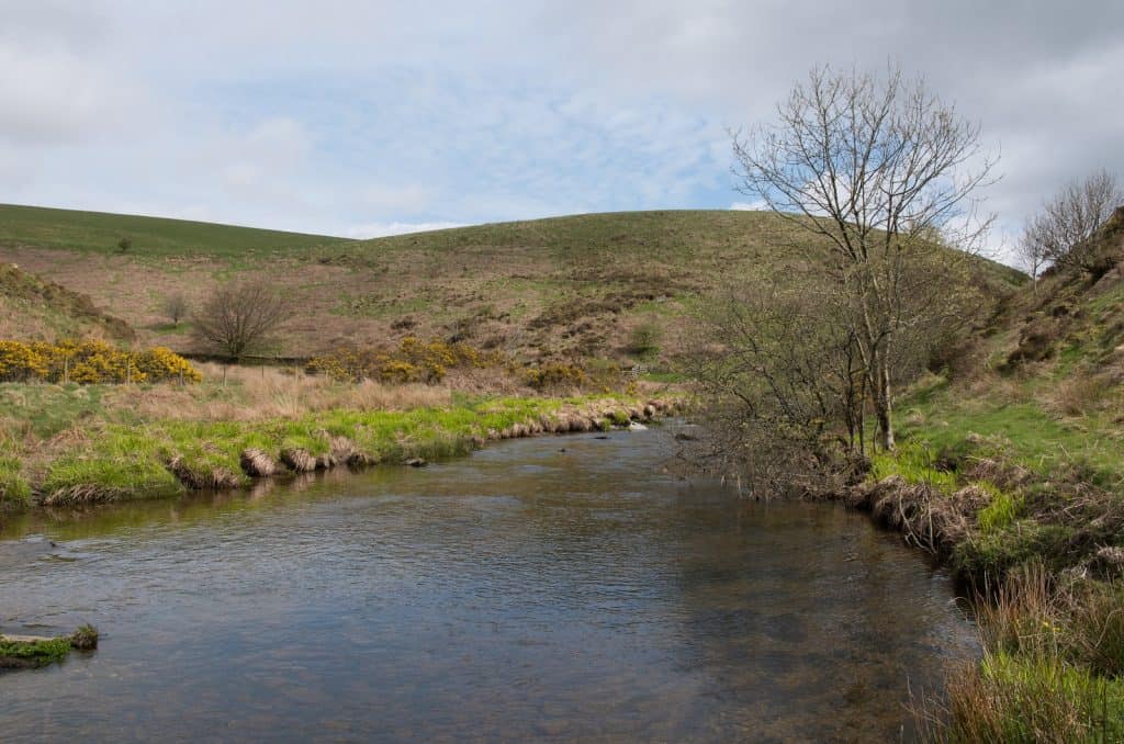 Barle Valley