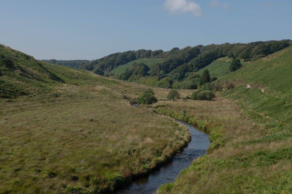 Barle Valley