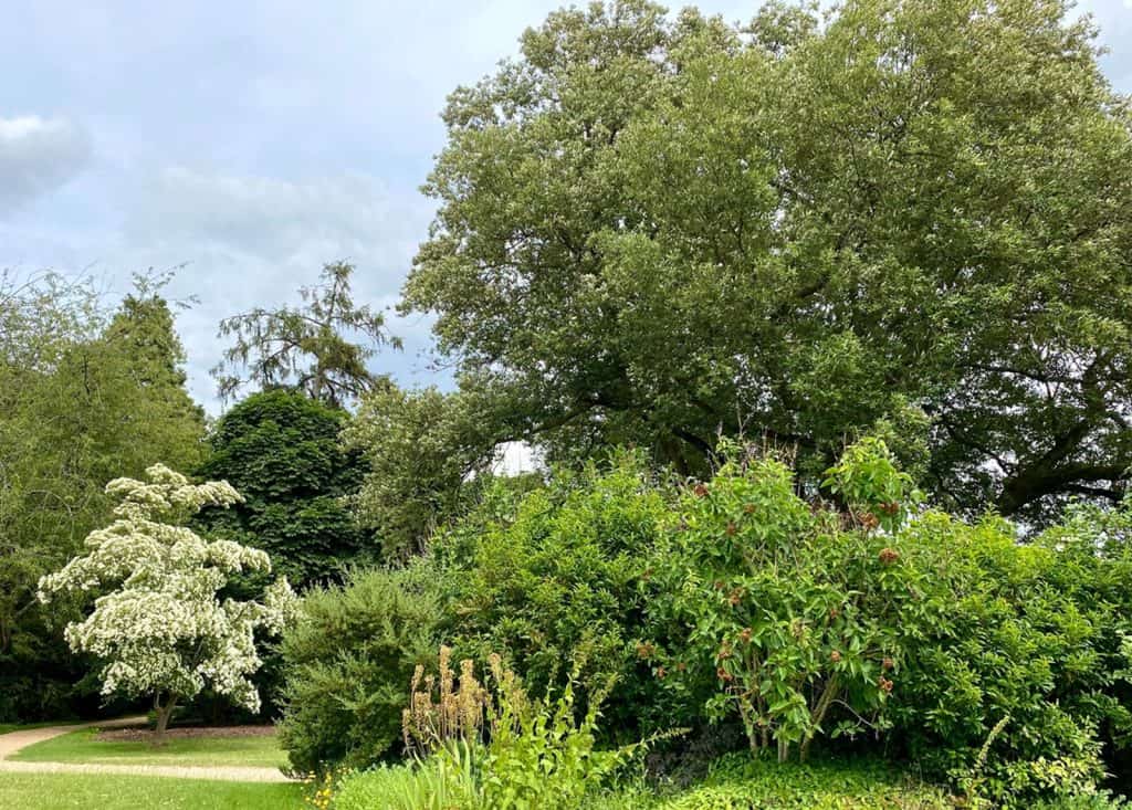Basildon Park