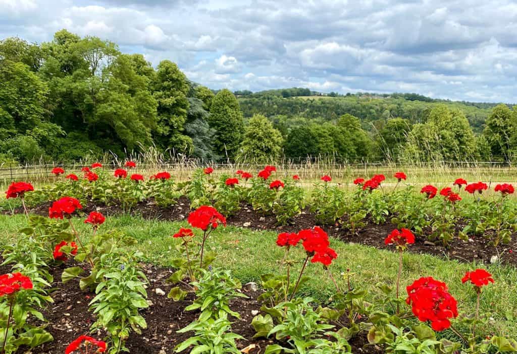 Basildon Park