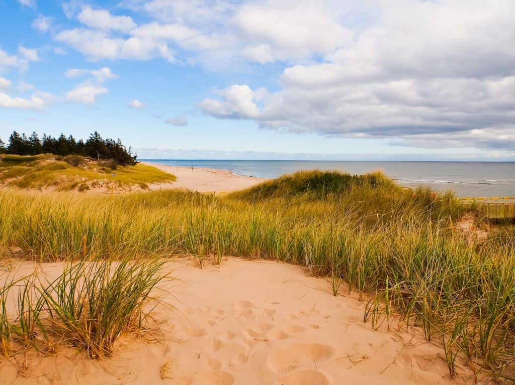 Basin Head Provincial Park