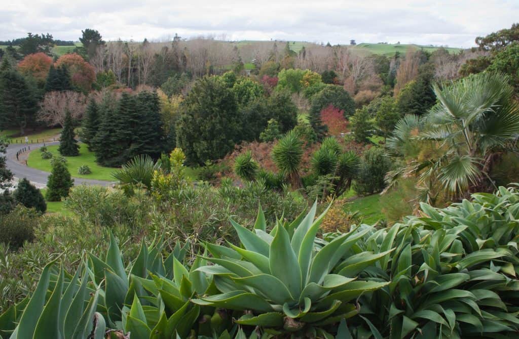 Bason Botanic Gardens