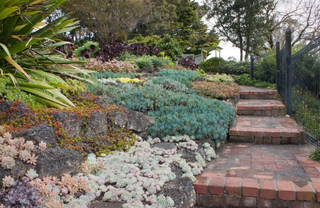 Bason Botanic Gardens
