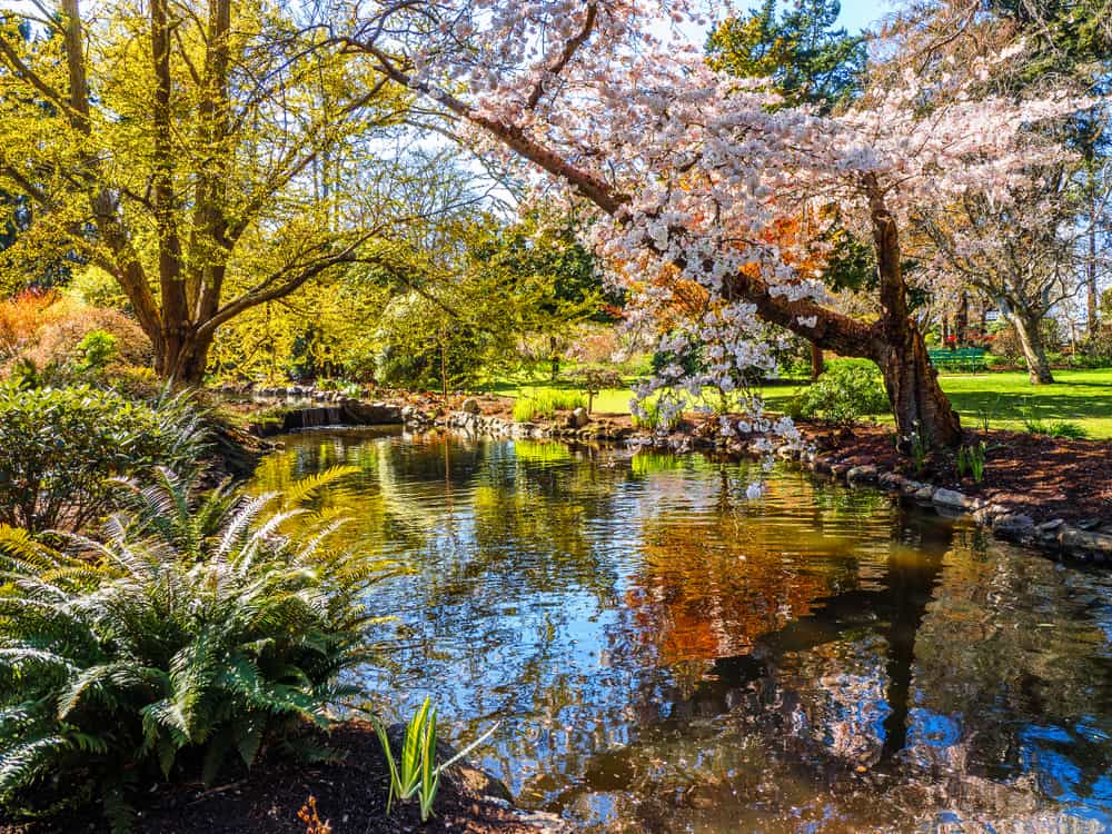Beacon Hill Park, Canadá