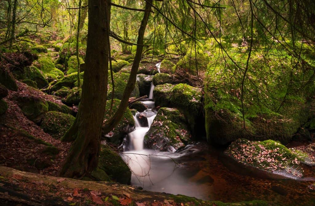 Becky Falls