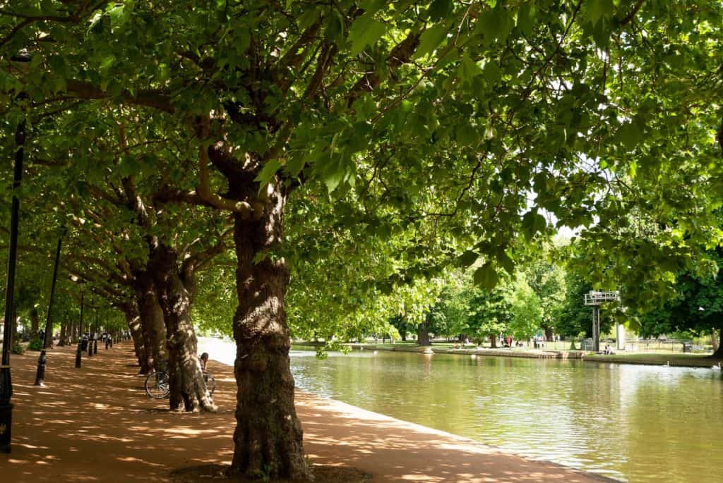 Parque Bedford
