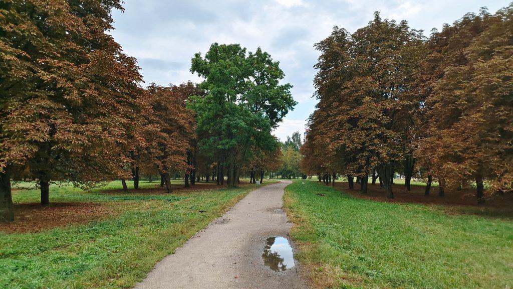 Bedgrove Park