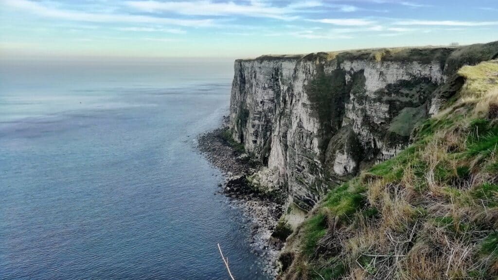 Acantilados de Bempton