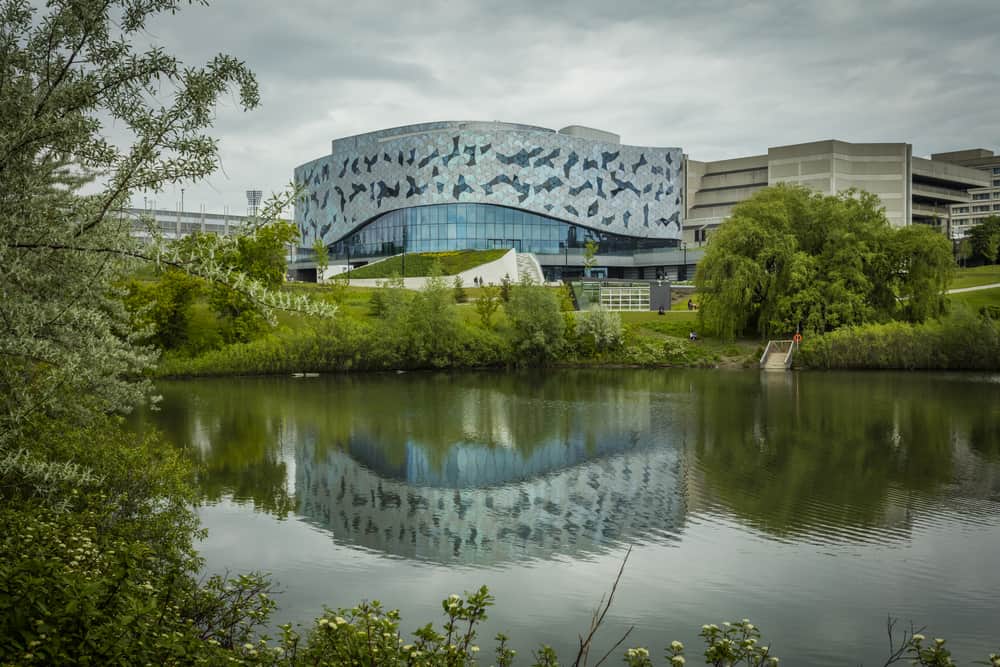Bergeron Centre University of york