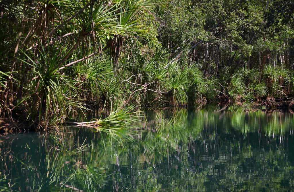 Parque Natural Berry Springs
