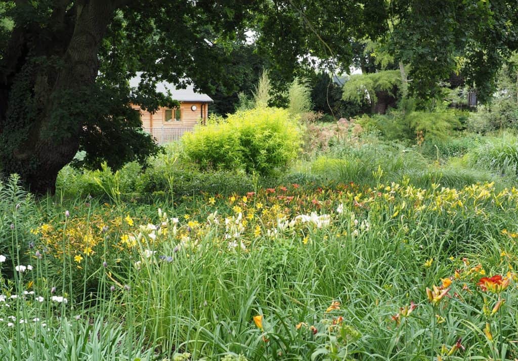 Beth Chatto Gardens