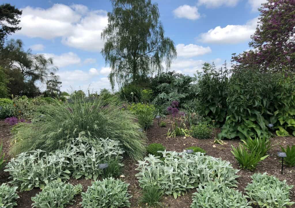 Beth Chatto Gardens
