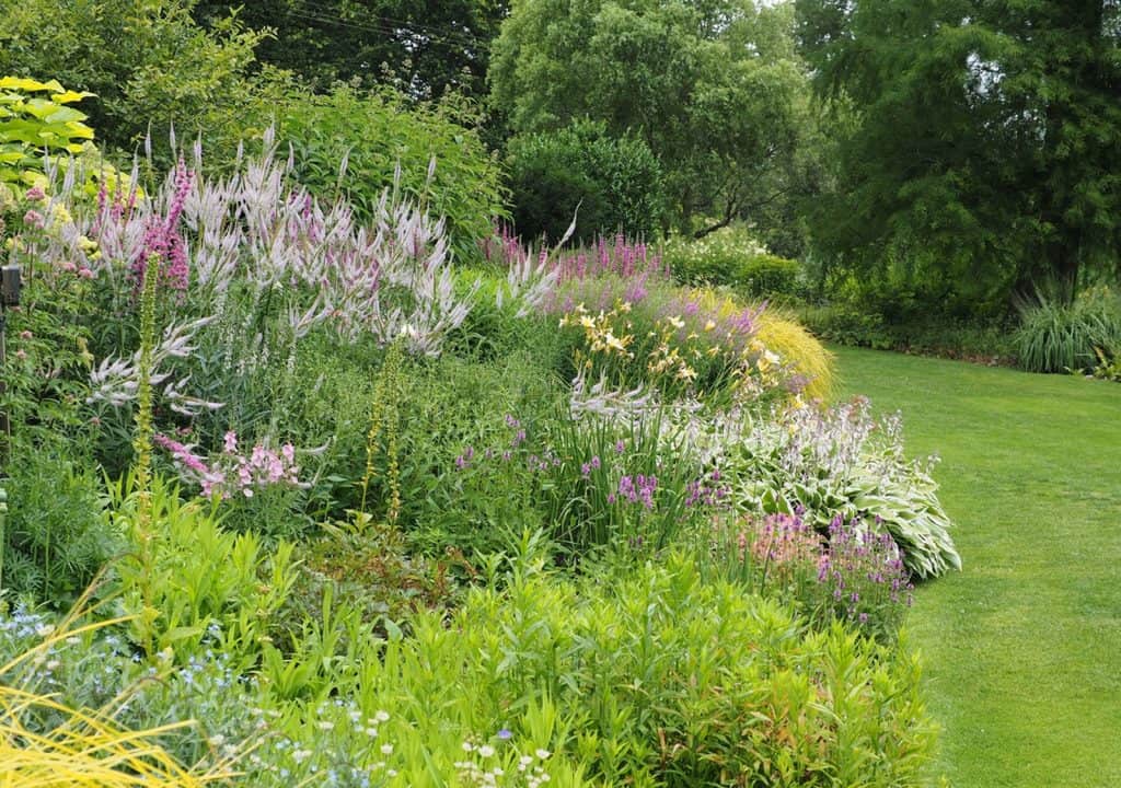 Beth Chatto Gardens