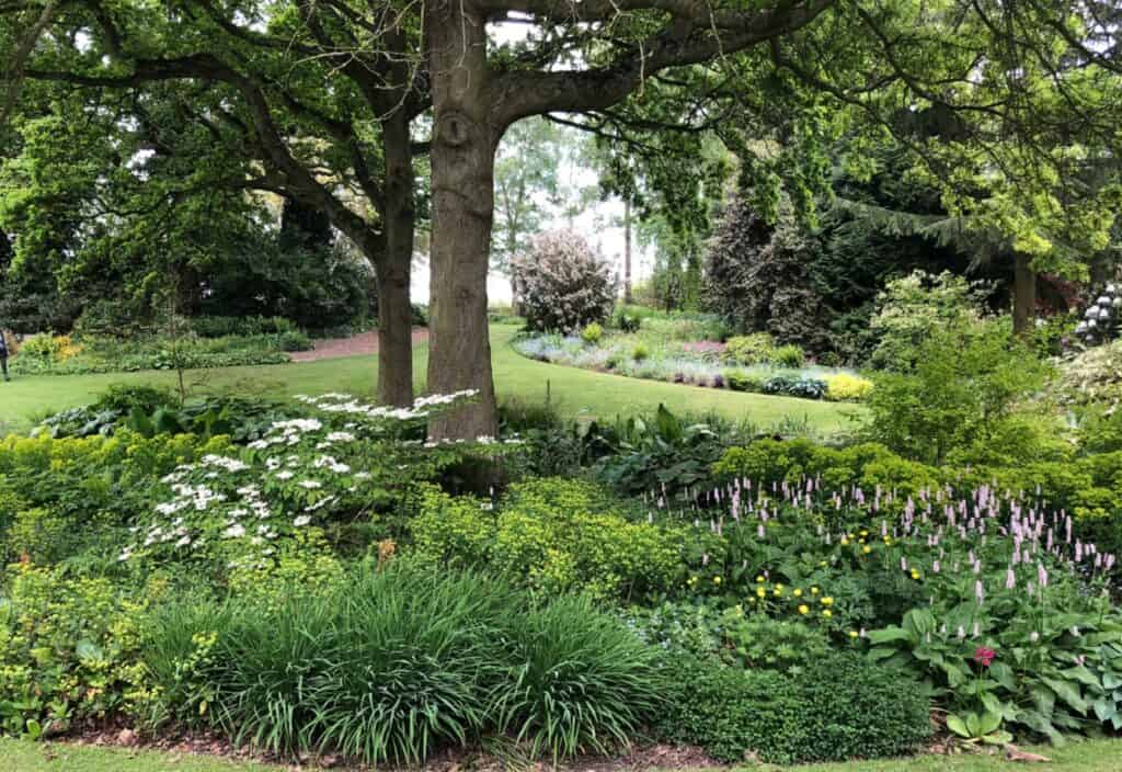 Beth Chatto Gardens