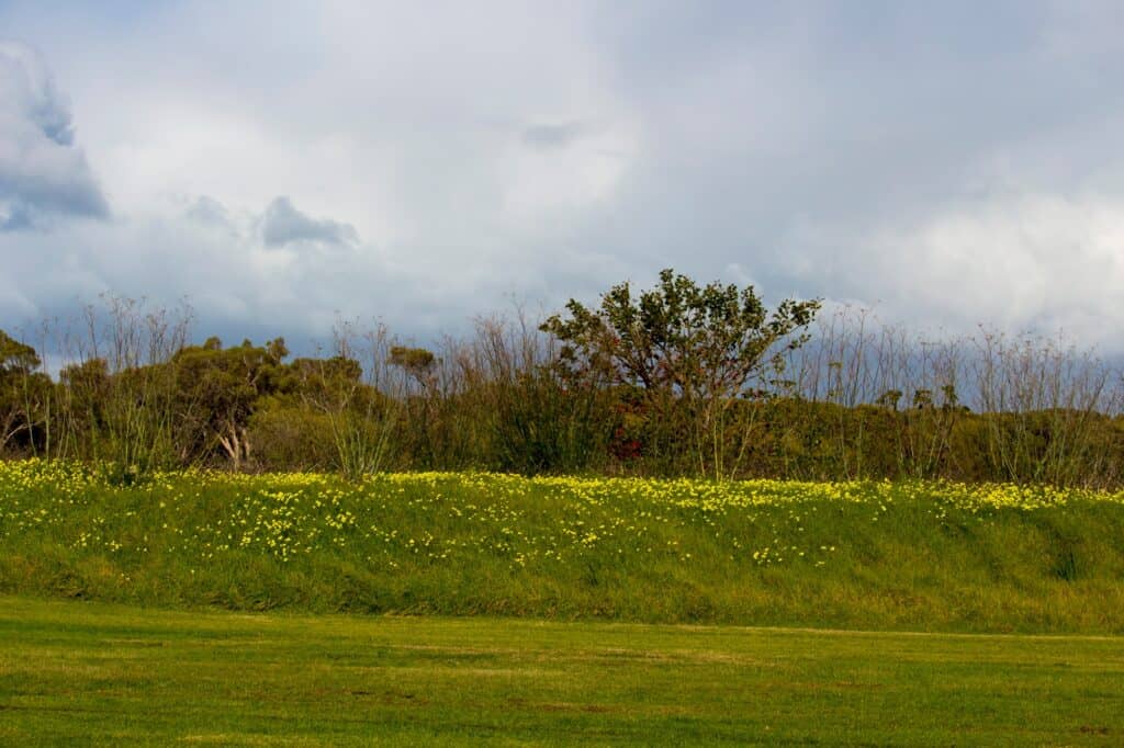 Parque del Gran Pantano