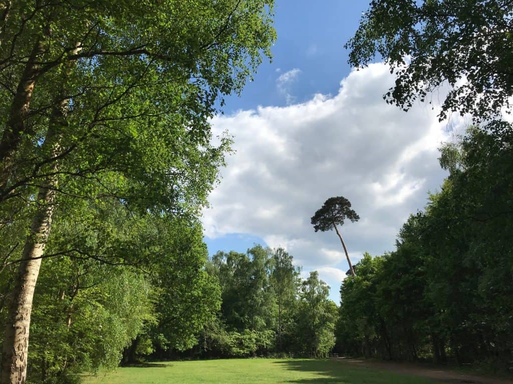 Black Park Country Park