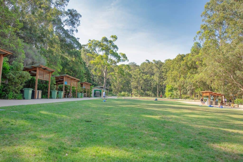 Blackbutt Nature Reserve