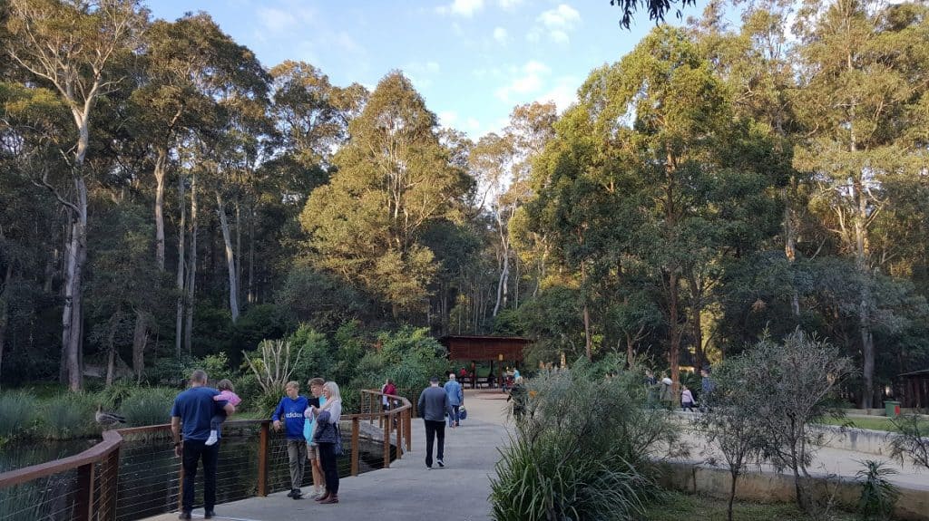 Blackbutt Nature Reserve