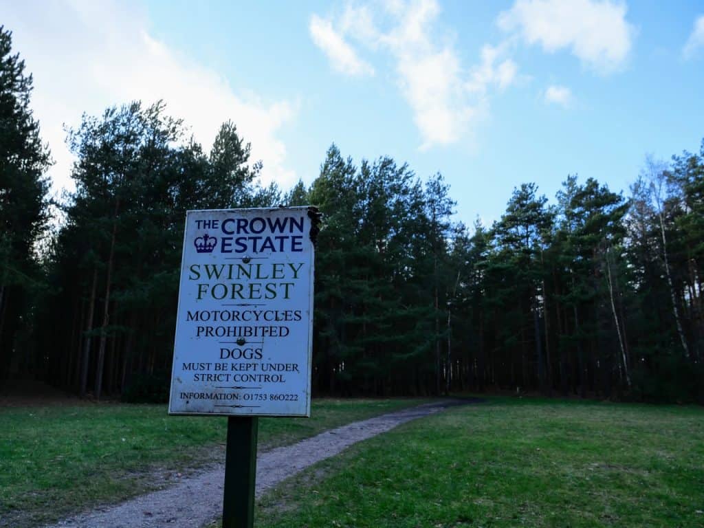 Bosque Swinley