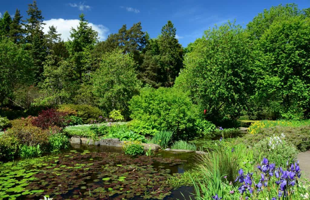 St. Andrews Botanic Garden