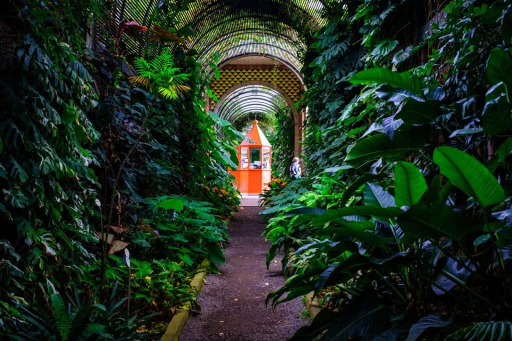 Botanic Gardens
