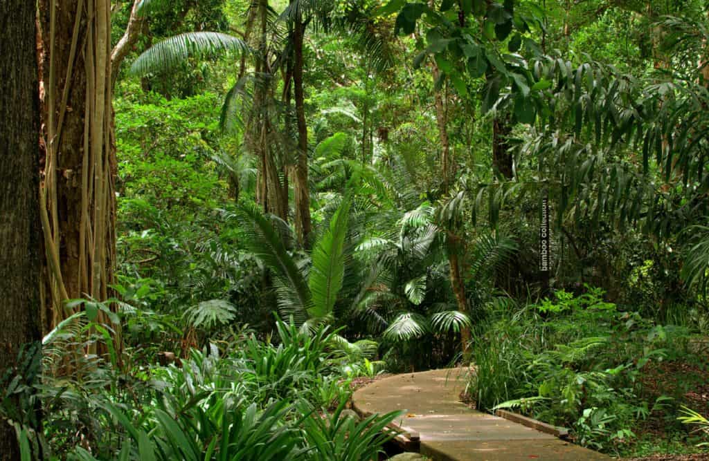 Botanic Gardens