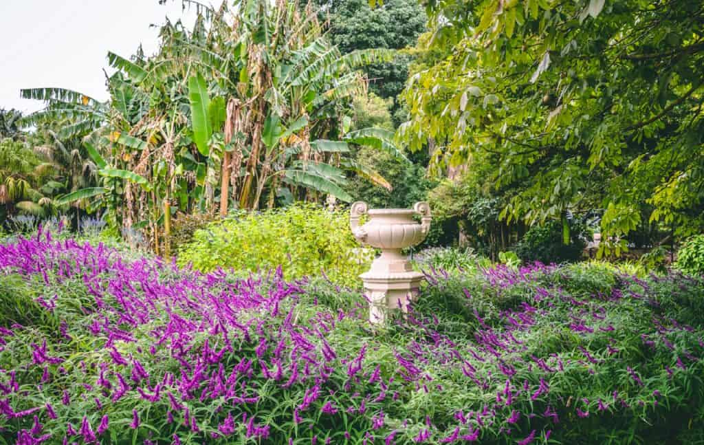 Geelong Botanic Gardens