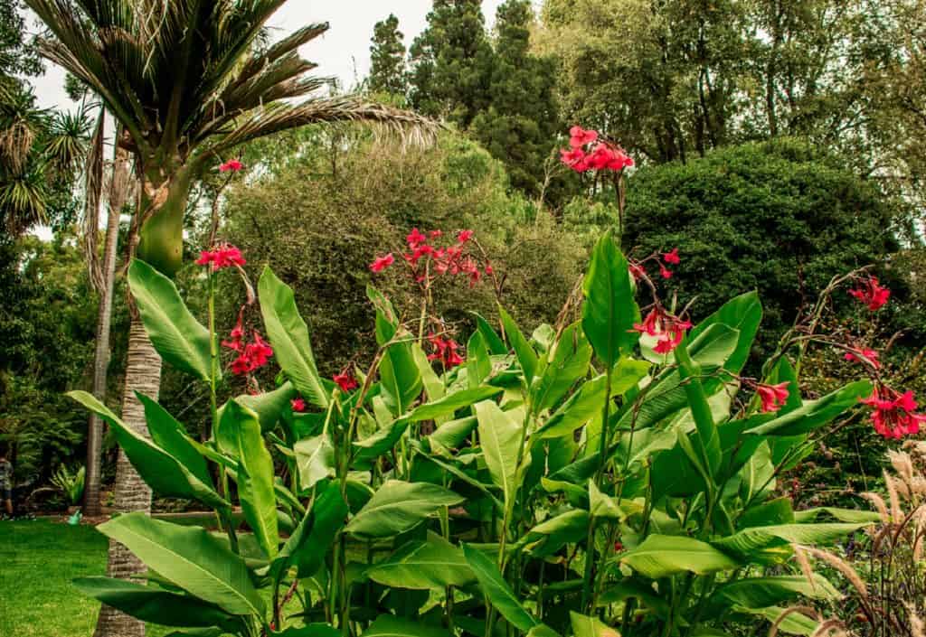 Geelong Botanic Gardens