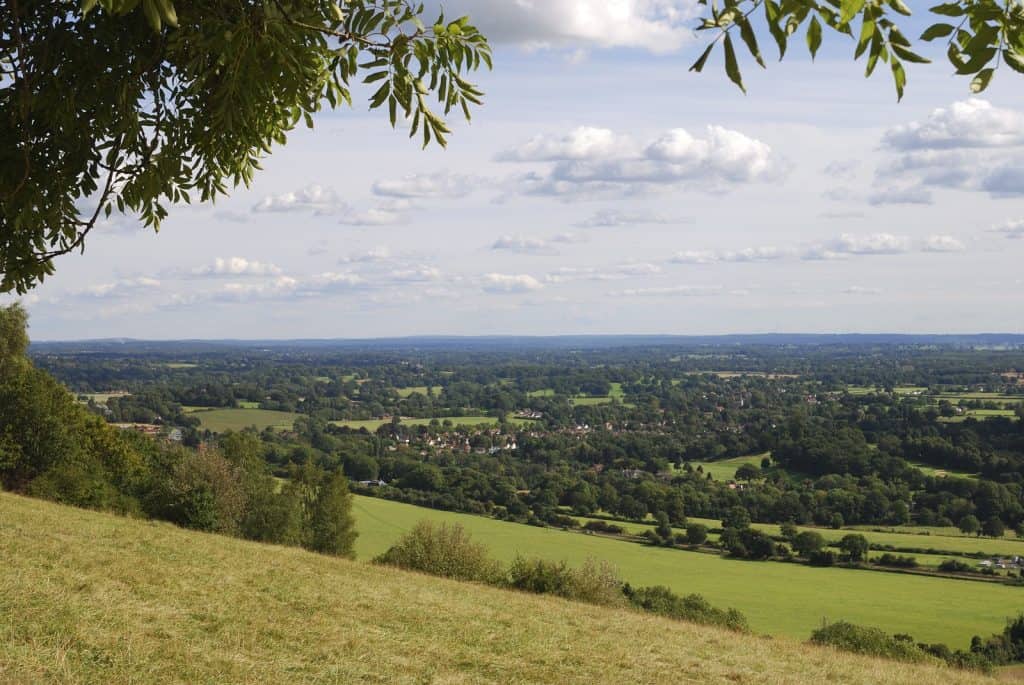 Box Hill