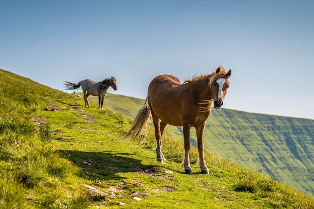 Brecon Beacons
